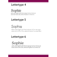 Memorybox - na overlijden - groot