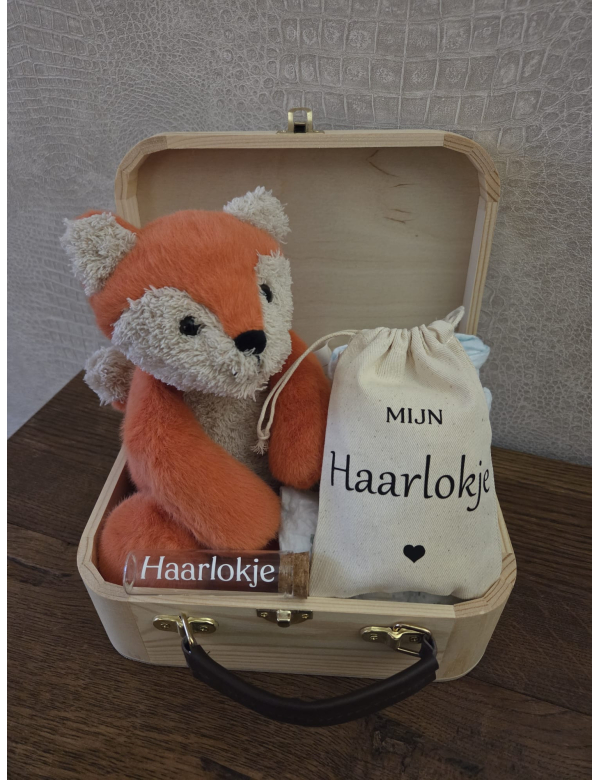 Kraamcadeau - koffer met knuffel